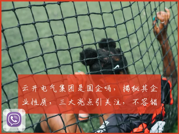 云开电气集团是国企吗，揭秘其企业性质，三大亮点引关注，不容错过